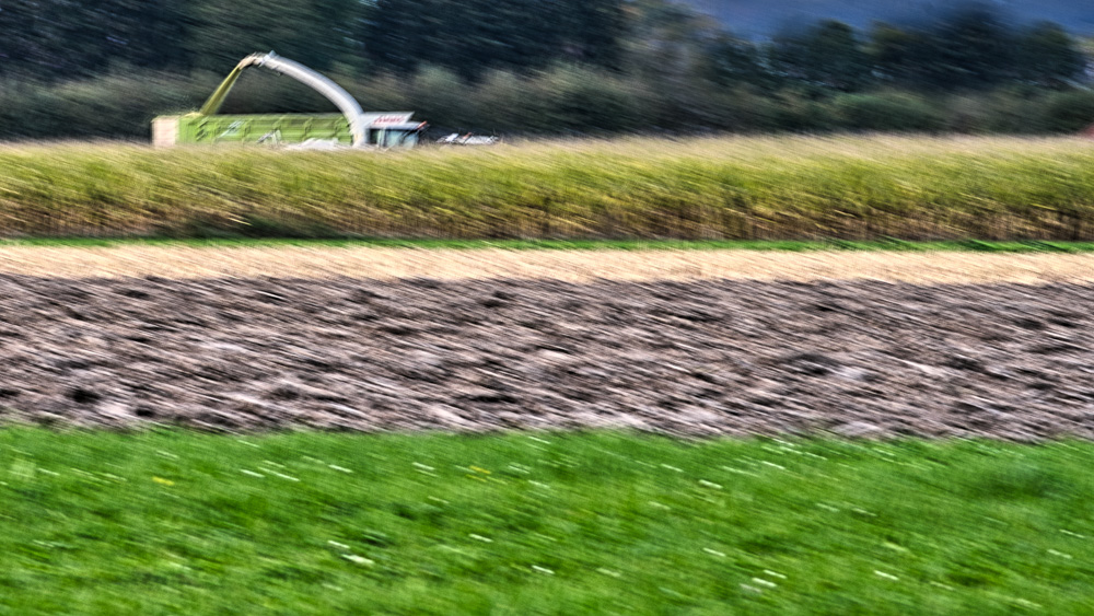 Platz 9 Harlad Unglert